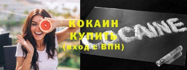 индика Абинск