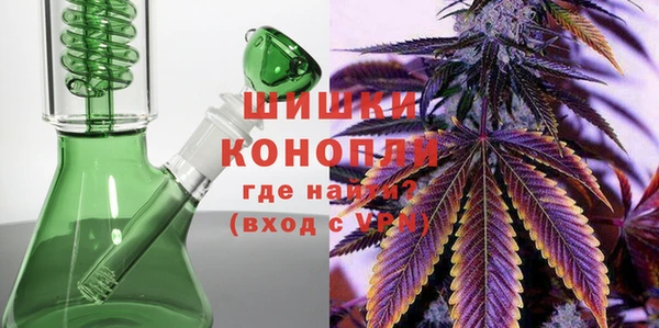 хмурый Аркадак