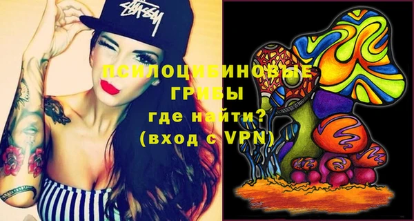 apvp Абаза