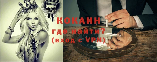 индика Абинск