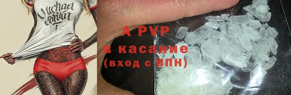 индика Абинск