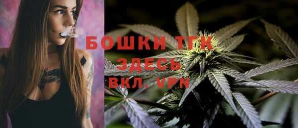 ПСИЛОЦИБИНОВЫЕ ГРИБЫ Алексин