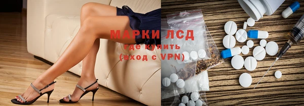 индика Абинск
