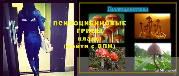 стафф Алзамай