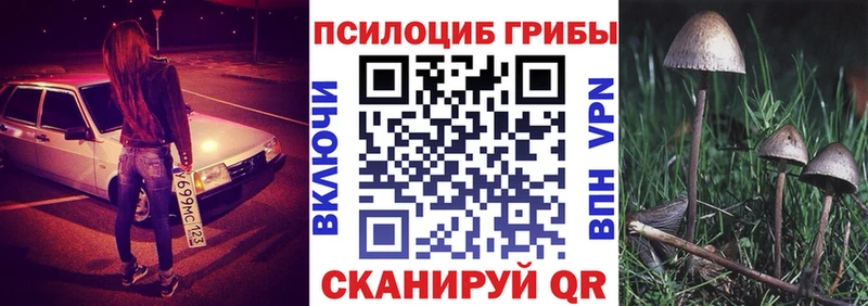Галлюциногенные грибы MAGIC MUSHROOMS  kraken как войти  Фёдоровский 